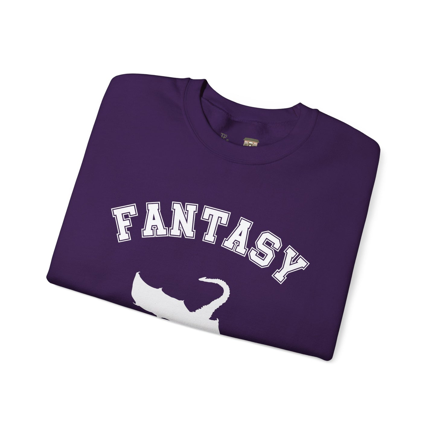 Fantasy Reader Sweatshirt V2. Dragon Rider